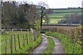 ST2243 : Sedgemoor : Farm Track by Lewis Clarke