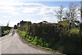 West Somerset : Country Lane