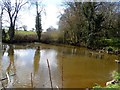 Pond at Frogmore