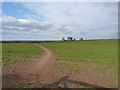 Footpath to the south side of Newport