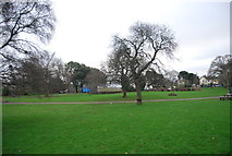 SX8671 : Courtenay Park by N Chadwick