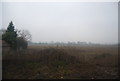 A fallow field on a misty day