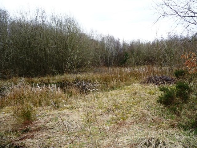 Wildlife conservation area, Apedale Country Park