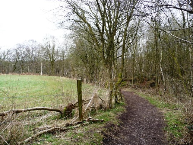 Footpath along the northern edge of Watermills Wood