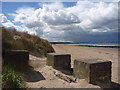 NT4376 : Coastal East Lothian : WW2 Anti-tank Blocks On Longniddry Beach by Richard West