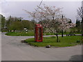 Crossroads with telephone box and blossom in Wilcot