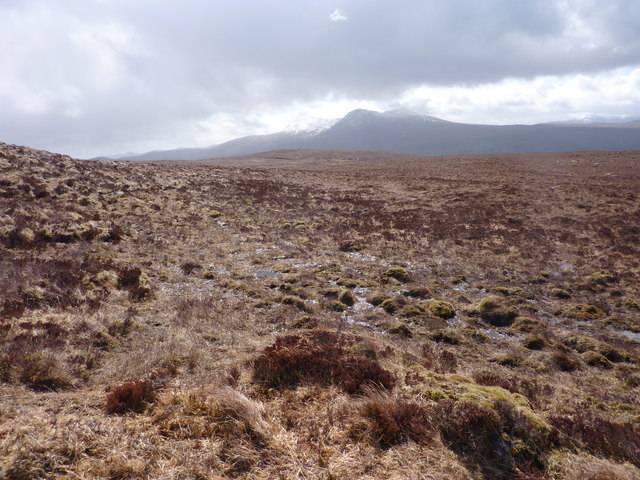 Wet moorland after a night of rain