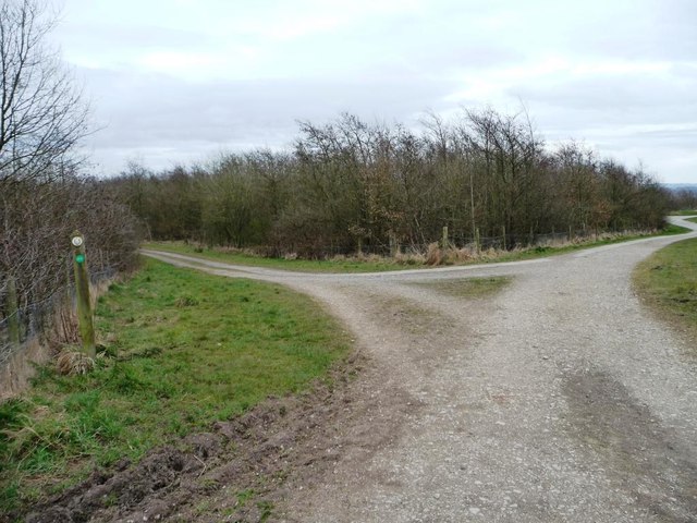 Footpath junction, Apedale Community Country Park