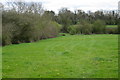 Pasture down to the river with Wing church in the distance