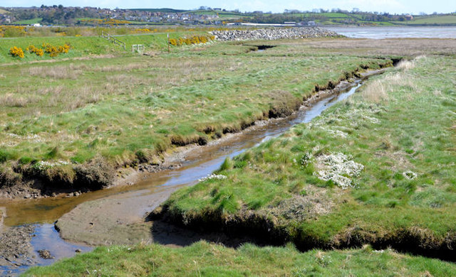 The loughshore, Newtownards (7) © Albert Bridge :: Geograph Ireland