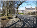 Looking down Anderson Avenue, Woodside