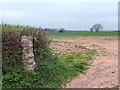 Field entrance with a view of Sampford Courtenay church