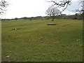 Grazing field south west of Rudyard Hall