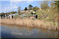 Allotments beside the canal