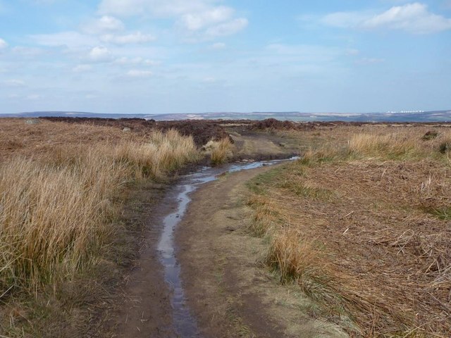 Millennium Way, Ilkley Moor © Christine Johnstone :: Geograph Britain ...