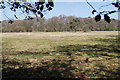 View towards Firlands Farm