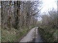 Lane at Rat Combe, heading east