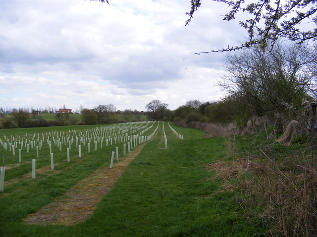 Footpath to the A144 Bramfield Road