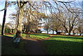 South West Coast Path through a small park