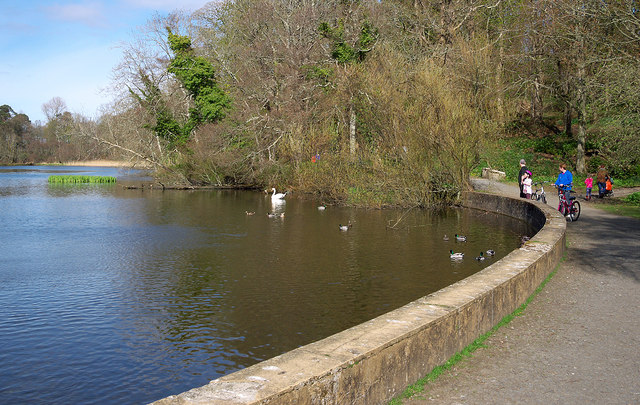 Swan pond, Culzean Castle