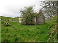 H3963 : Derelict cottage, Coyagh by Kenneth  Allen