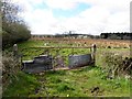 Cornamucklagh Townland