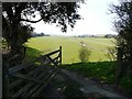 Track to water-meadows beside the River Amble