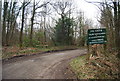 Track to Netherfield Place Farm