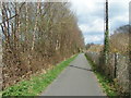 On the Granite Way cycle route, looking towards Okehampton railway station