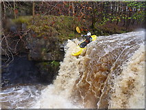 NY9028 : The first runnable fall on Bow Lee Beck by Andy Waddington
