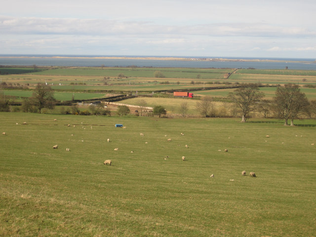 Grassland near Middleton