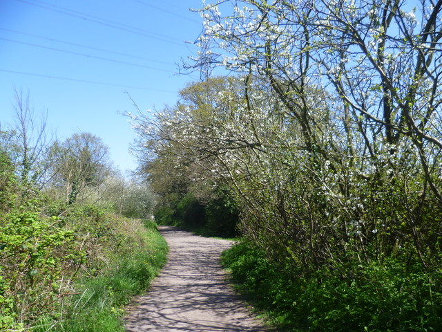 Green Lane, Worcester Park