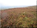 Slievekirk,  north top