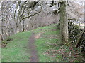 SD9489 : Path along the top of Worton Scar by Peter Wood