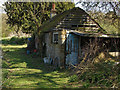 Derelict cottage