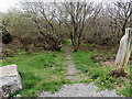 Steps to a track in  Cefn Fforest & Pengam Ecopark