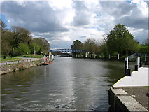 TQ1671 : The River Thames above Teddington Lock by David Purchase