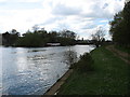 The River Thames and Thames Ditton Island