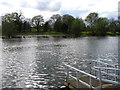 The River Thames above Thames Ditton