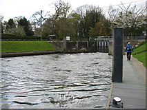 TQ0765 : Shepperton Lock by David Purchase