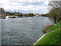 The River Thames at Staines