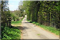 The Spinney by the road to Manor Cottages