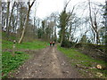 The Cotswold Way near Crayfield Farm