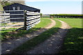 Farm track by Birch Copse