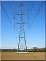 Pylons across the farmland