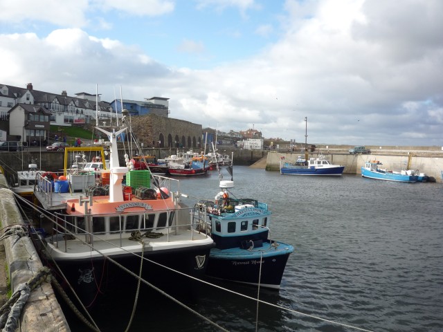 North Sunderland Harbour © Ds Pugh :: Geograph Britain And Ireland