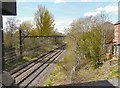 Railway behind Foxwood Drive