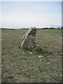 Standing  stone  in  field  East  Barnby