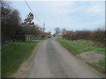 NZ8112 : West  Barnby  Lane  toward  High  Farm  on  right by Martin Dawes