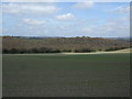 Farmland north of Waldridge Road